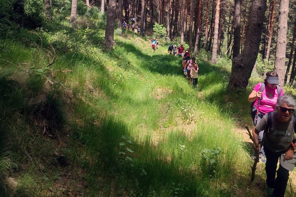 img 20250531 wa0132 copia