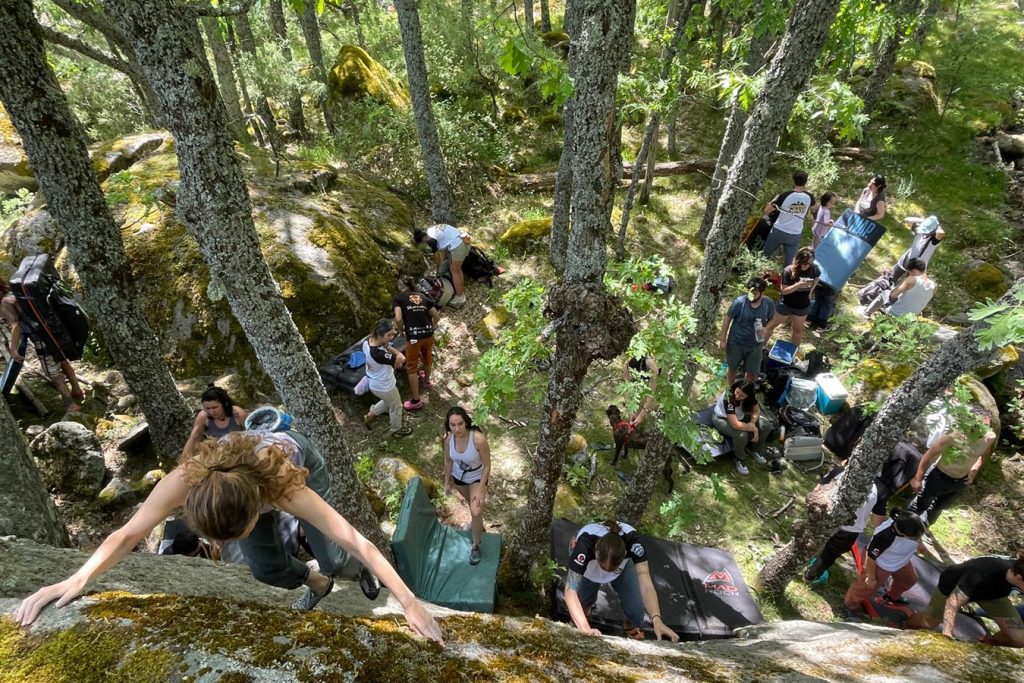 img 20250531 wa01362 copia